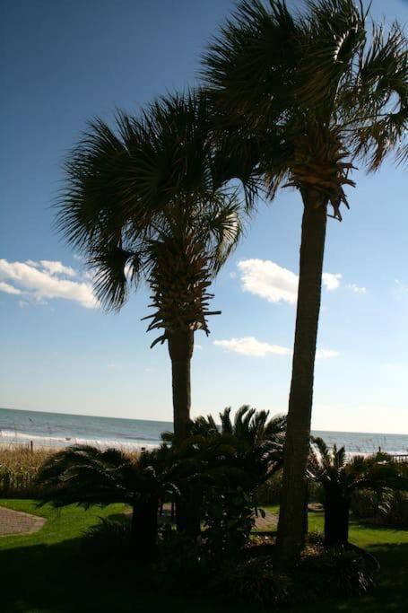 *Top Notch Family Space*Pool*Steps To The Sand*Huge Master*Wt0 Myrtle Beach Kültér fotó